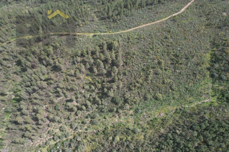 Terreno Agricola ou Rústico para Venda em Salgueiro do Campo Foto 4