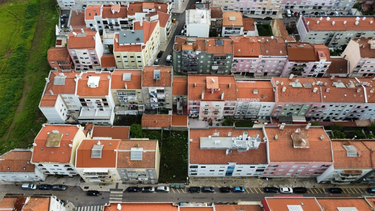Terreno para Venda em Encosta do Sol Foto 13