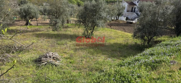 Terreno para Venda em Fragosela