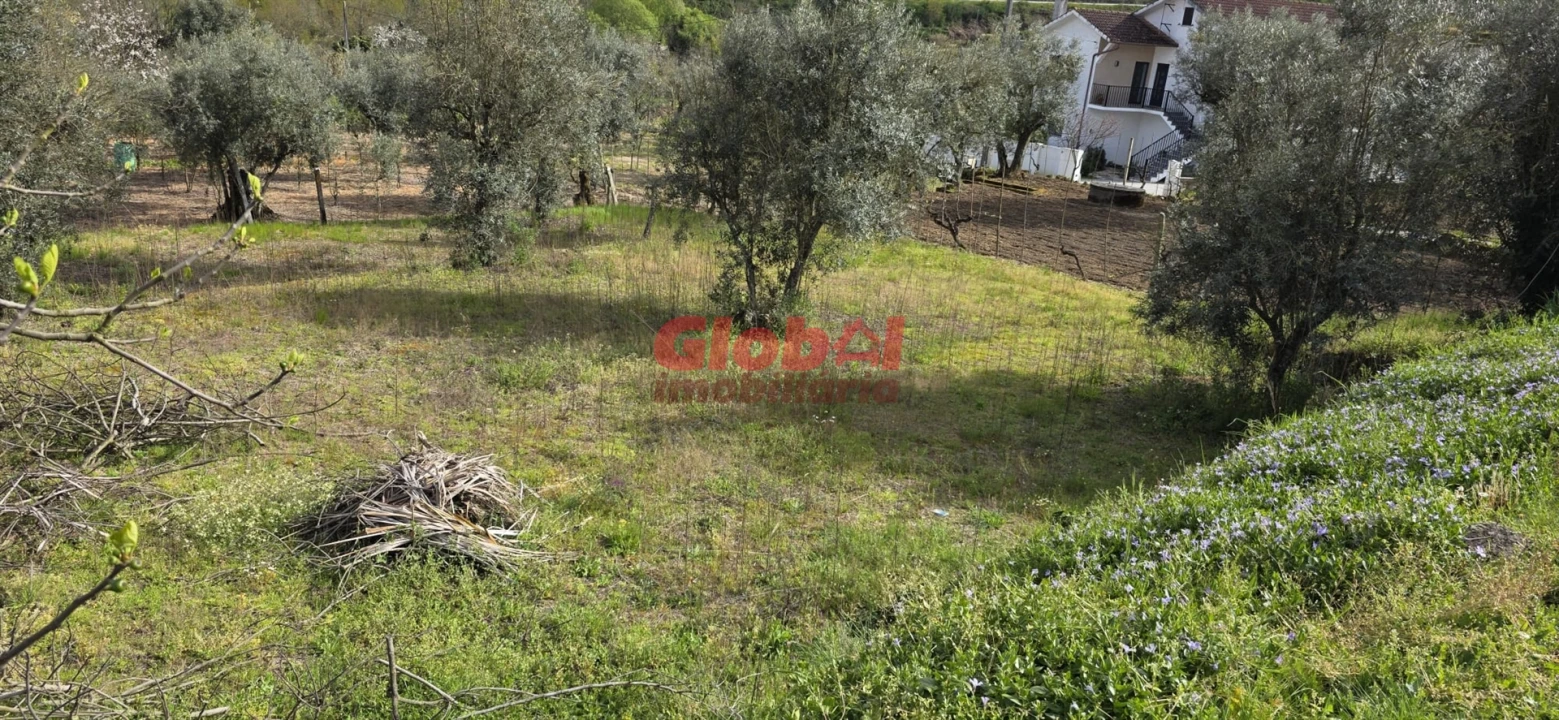 Terreno para Venda em Fragosela Foto 2