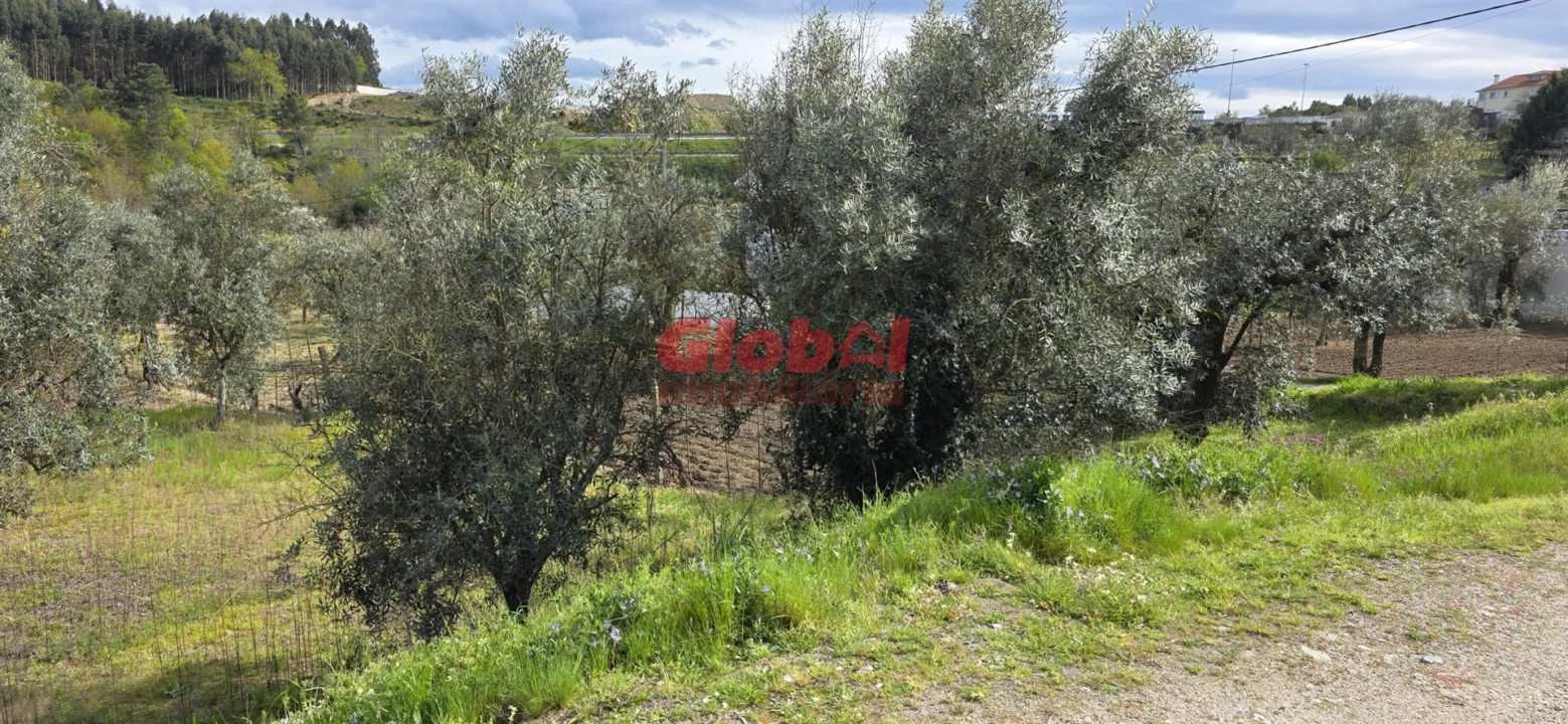 Terreno para Venda em Fragosela Foto 1