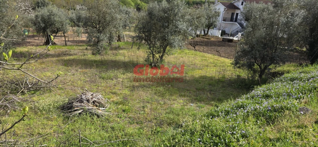 Terreno para Venda em Fragosela Foto 2