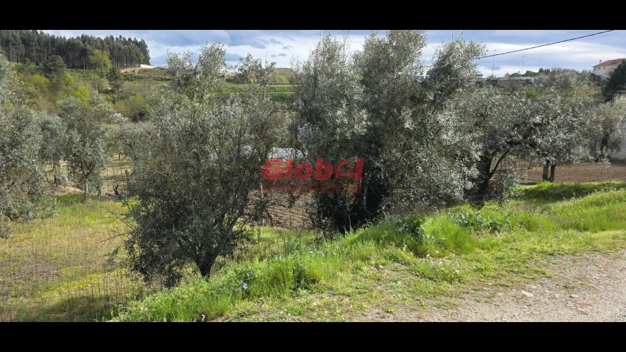 Terreno para Venda em Fragosela