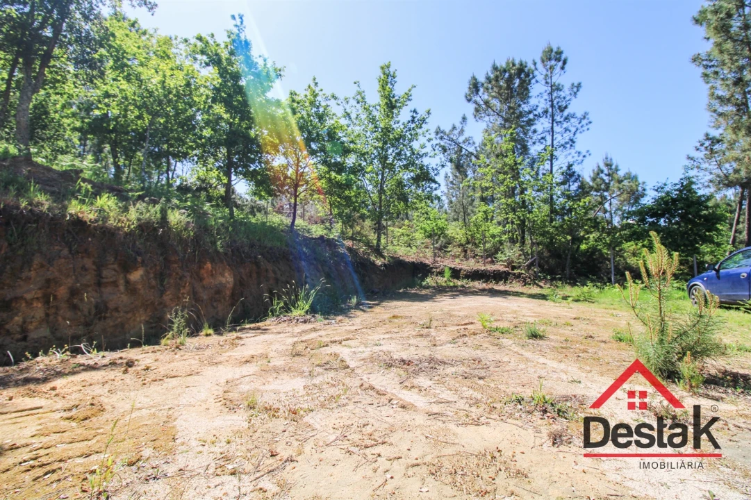 Terreno Agricola ou Rústico para Venda em Ribafeita Foto 9