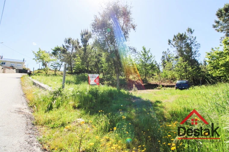 Terreno Agricola ou Rústico para Venda em Ribafeita Foto 6