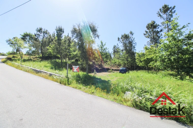 Terreno Agricola ou Rústico para Venda em Ribafeita Foto 5