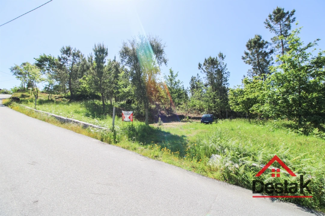 Terreno Agricola ou Rústico para Venda em Ribafeita Foto 5