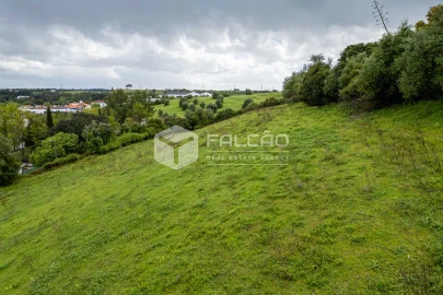 Terreno para Venda em Achete, Azoia de Baixo e Póvoa de Santarém