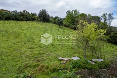 Terreno para Venda em Achete, Azoia de Baixo e Póvoa de Santarém
