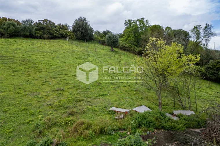 Terreno para Venda em Achete, Azoia de Baixo e Póvoa de Santarém Foto 24