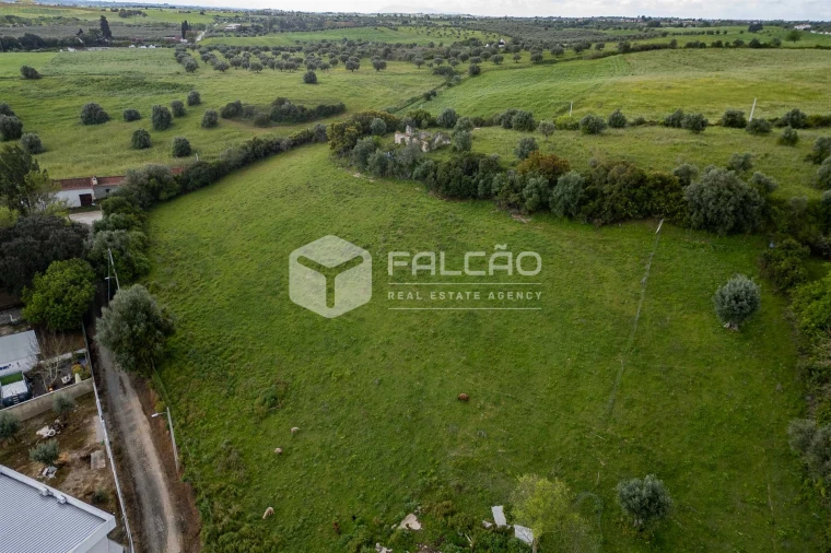 Terreno para Venda em Achete, Azoia de Baixo e Póvoa de Santarém Foto 14