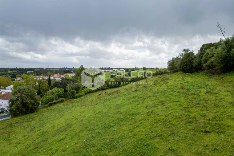 Terreno para Venda em Achete, Azoia de Baixo e Póvoa de Santarém Foto 22