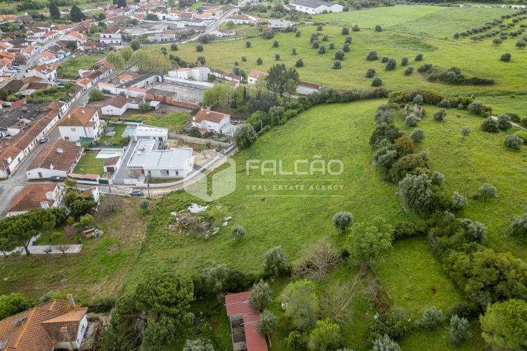 Terreno para Venda em Achete, Azoia de Baixo e Póvoa de Santarém Foto 10