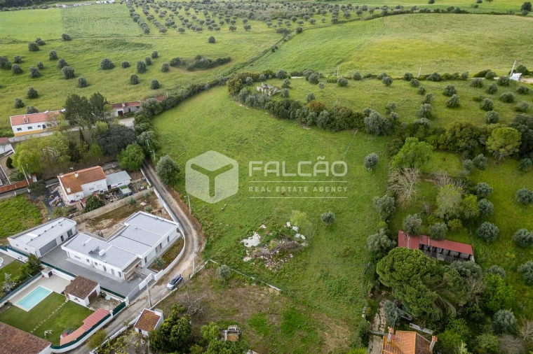 Terreno para Venda em Achete, Azoia de Baixo e Póvoa de Santarém Foto 13