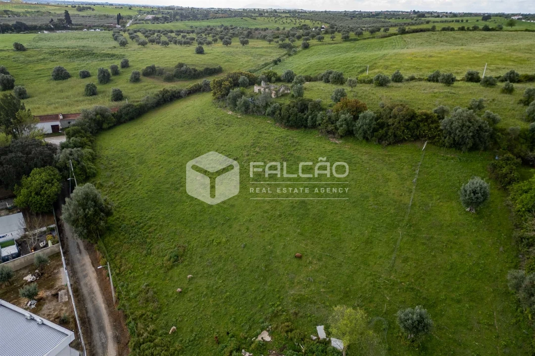 Terreno para Venda em Achete, Azoia de Baixo e Póvoa de Santarém Foto 14