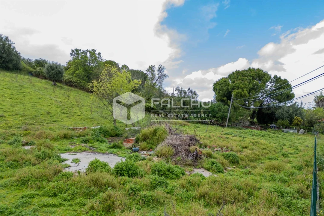 Terreno para Venda em Achete, Azoia de Baixo e Póvoa de Santarém Foto 19