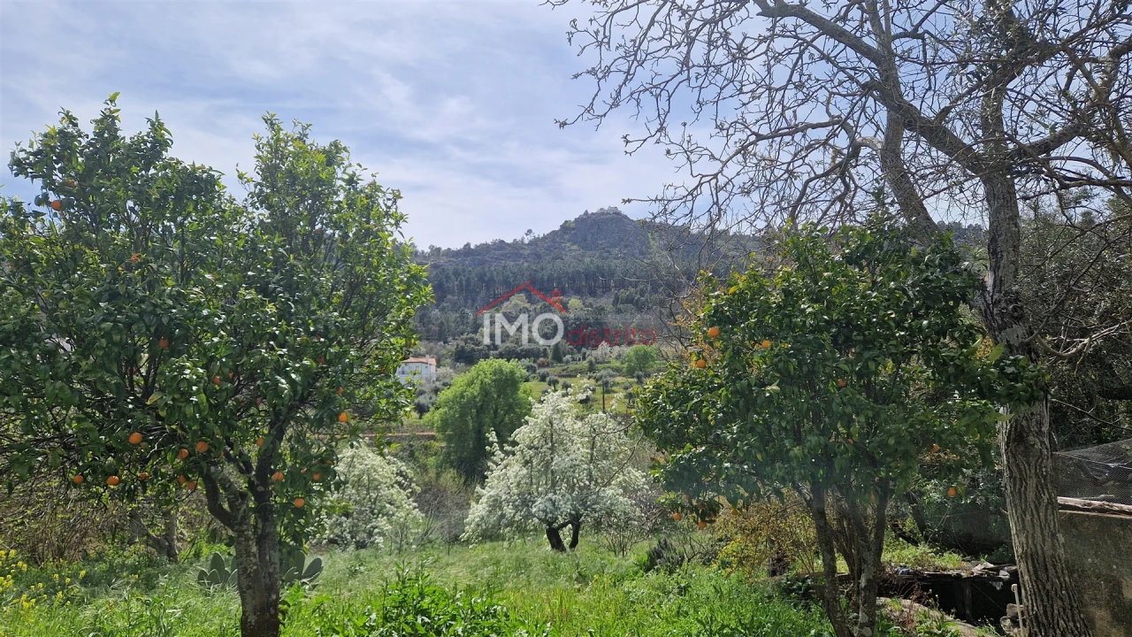 Quinta T4 para Venda em São João Baptista Foto 18