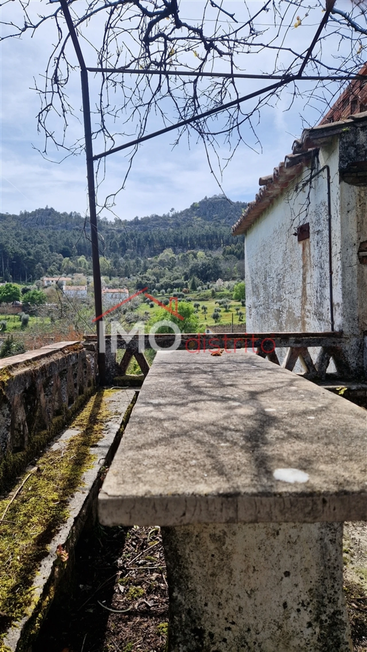 Quinta T4 para Venda em São João Baptista Foto 6