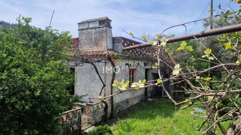 Quinta T4 para Venda em São João Baptista