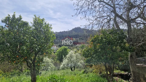 Quinta T4 para Venda em São João Baptista