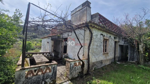 Quinta T4 para Venda em São João Baptista