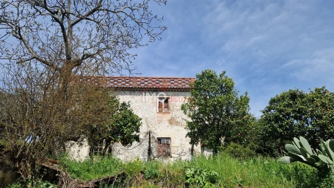 Quinta T4 para Venda em São João Baptista