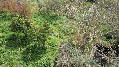 Quinta T4 para Venda em São João Baptista