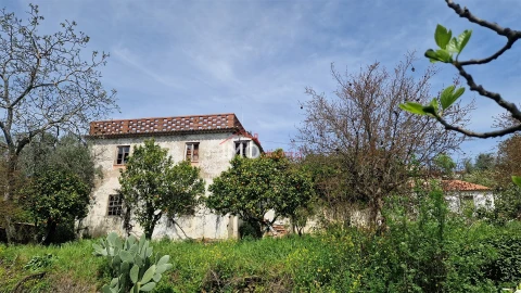 Quinta T4 para Venda em São João Baptista