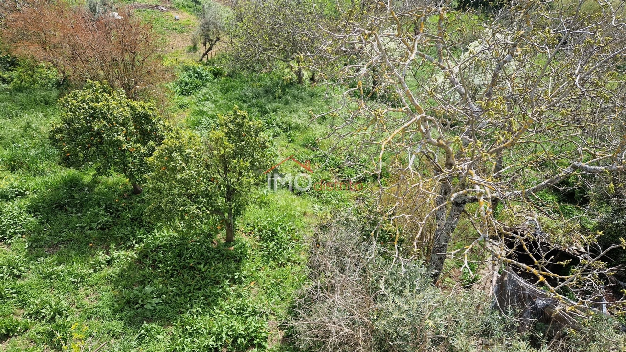 Quinta T4 para Venda em São João Baptista Foto 10