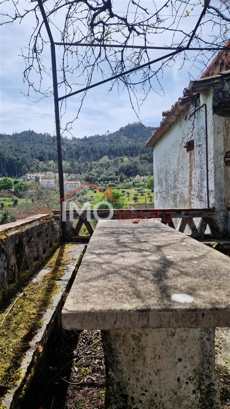 Quinta T4 para Venda em São João Baptista Foto 6