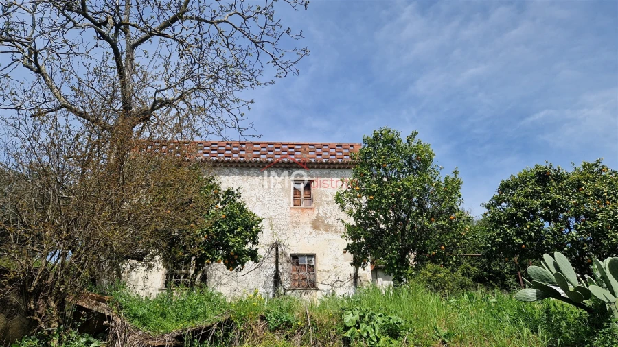 Quinta T4 para Venda em São João Baptista Foto 3