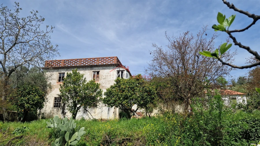 Quinta T4 para Venda em São João Baptista Foto 17