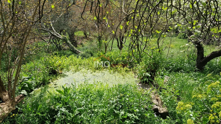 Quinta T4 para Venda em São João Baptista Foto 16
