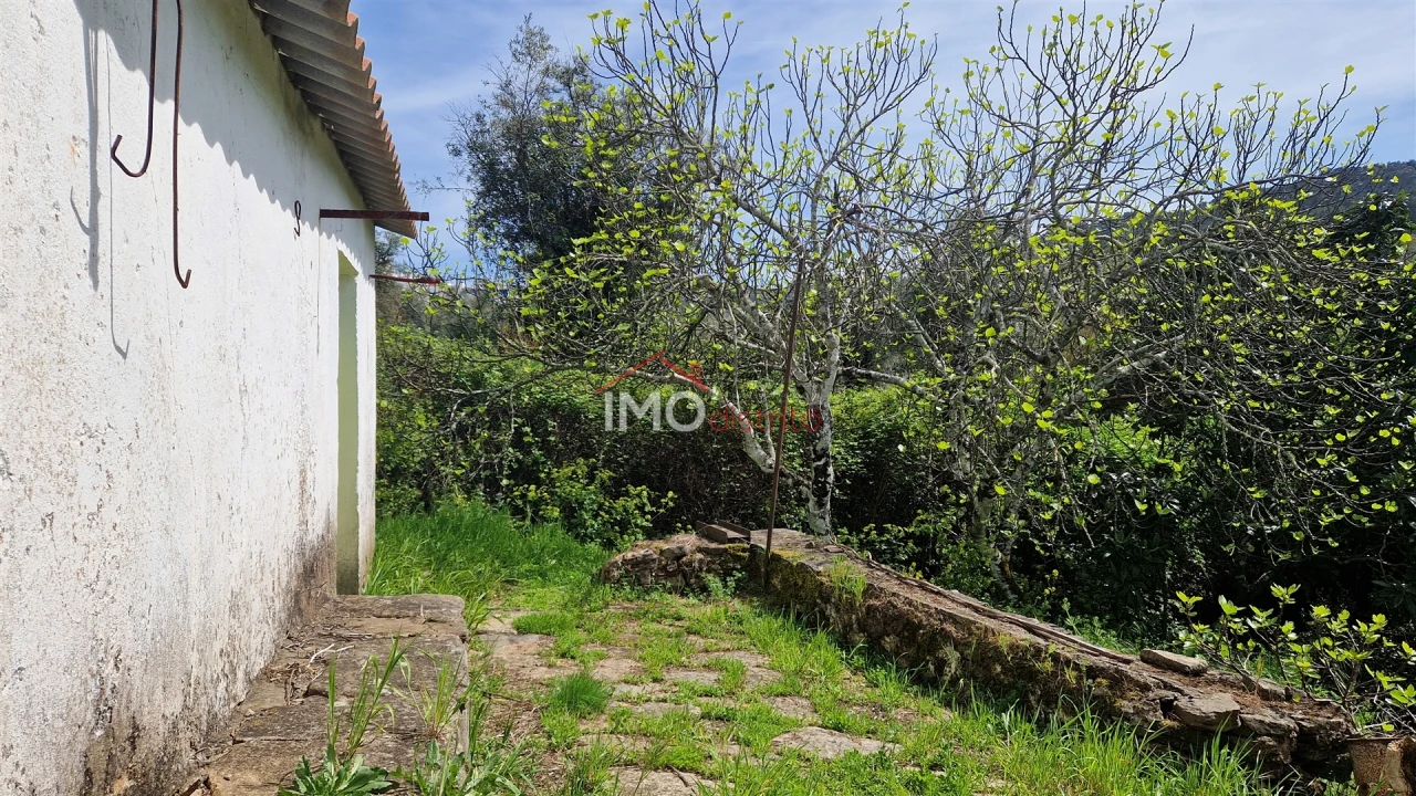 Quinta T4 para Venda em São João Baptista Foto 13