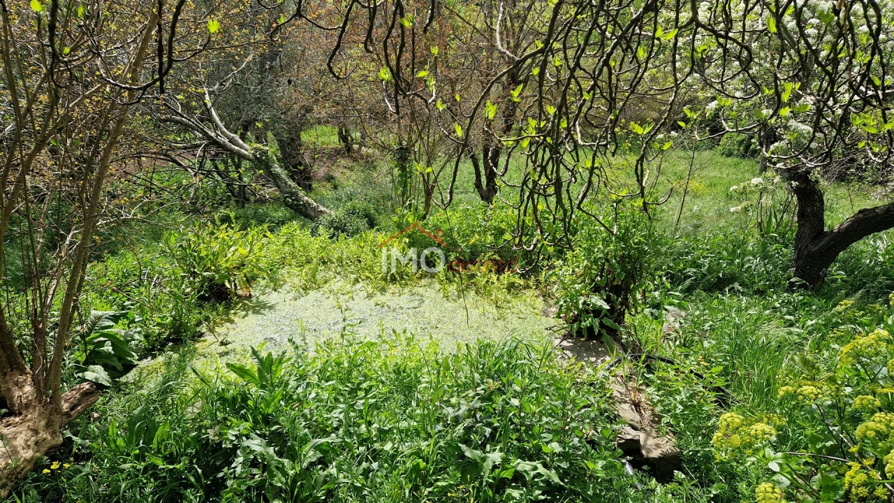 Quinta T4 para Venda em São João Baptista Foto 16