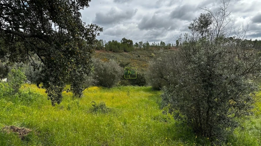 Terreno Agricola ou Rústico para Venda em Santo Andre das Tojeiras Foto 11
