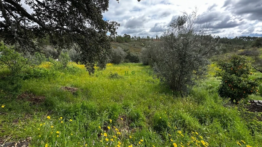 Terreno Agricola ou Rústico para Venda em Santo Andre das Tojeiras Foto 9