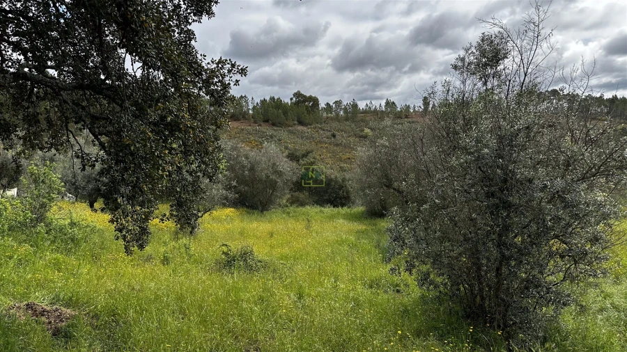 Terreno Agricola ou Rústico para Venda em Santo Andre das Tojeiras Foto 5
