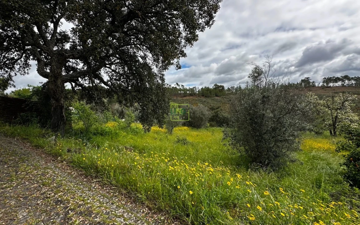 Terreno Agricola ou Rústico para Venda em Santo Andre das Tojeiras Foto 10
