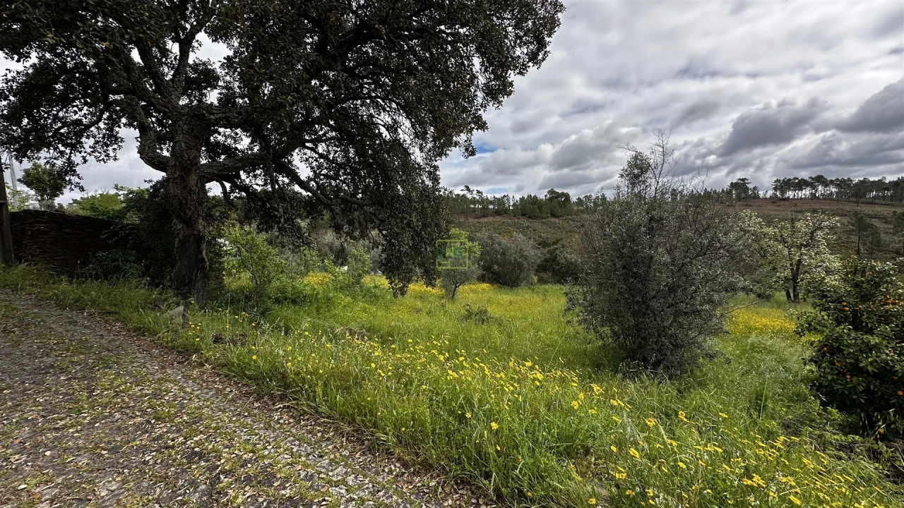 Terreno Agricola ou Rústico para Venda em Santo Andre das Tojeiras Foto 1