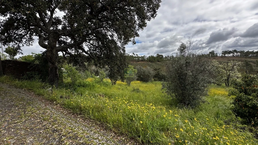 Terreno Agricola ou Rústico para Venda em Santo Andre das Tojeiras