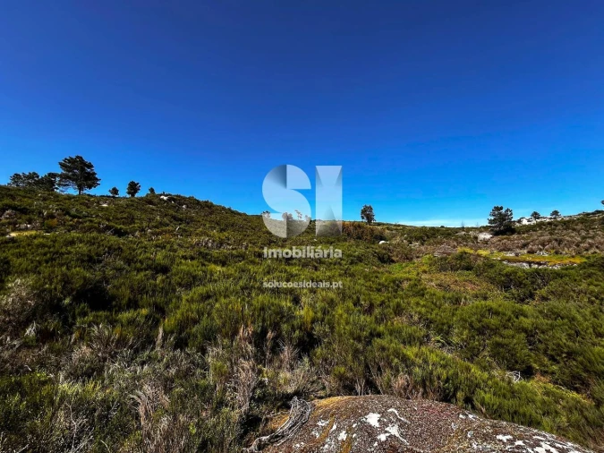 Terreno para Venda em Alijo Foto 2