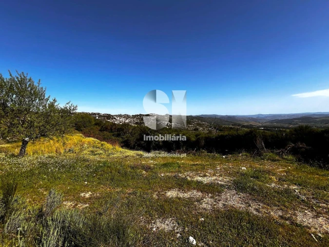 Terreno para Venda em Alijo Foto 13