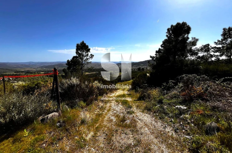 Terreno para Venda em Alijo Foto 14