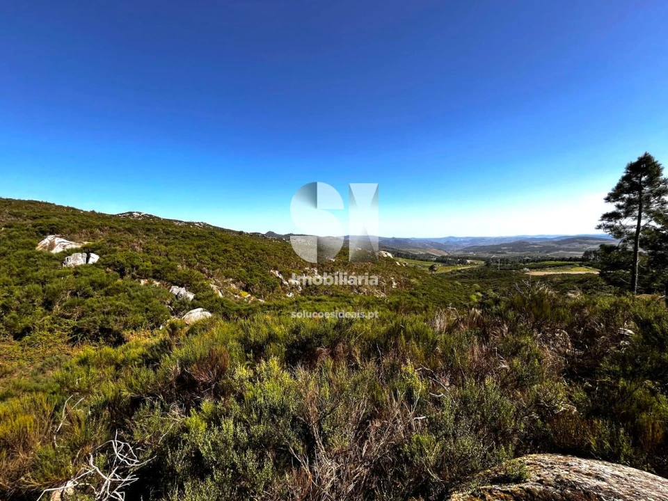 Terreno para Venda em Alijo Foto 3