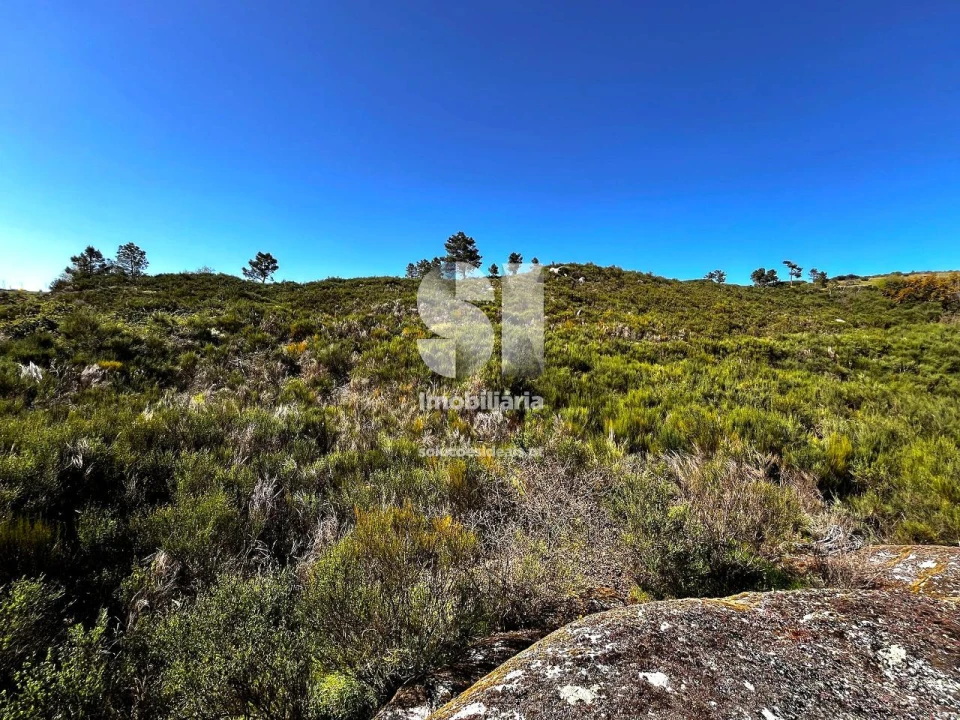 Terreno para Venda em Alijo Foto 5