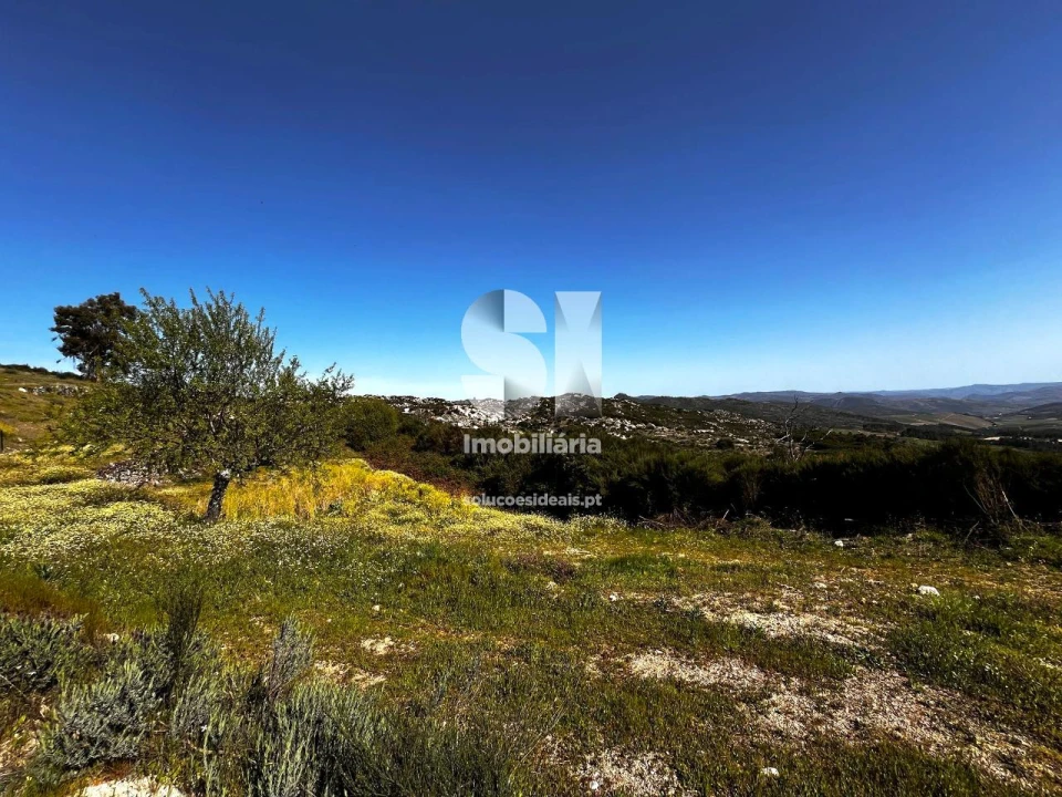 Terreno para Venda em Alijo Foto 12