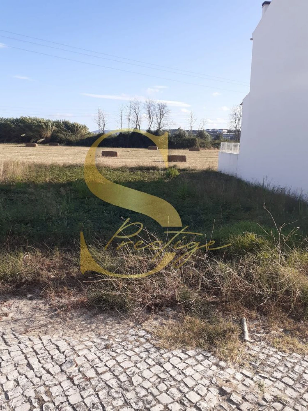 Terreno para Venda em Golpilheira Foto 4