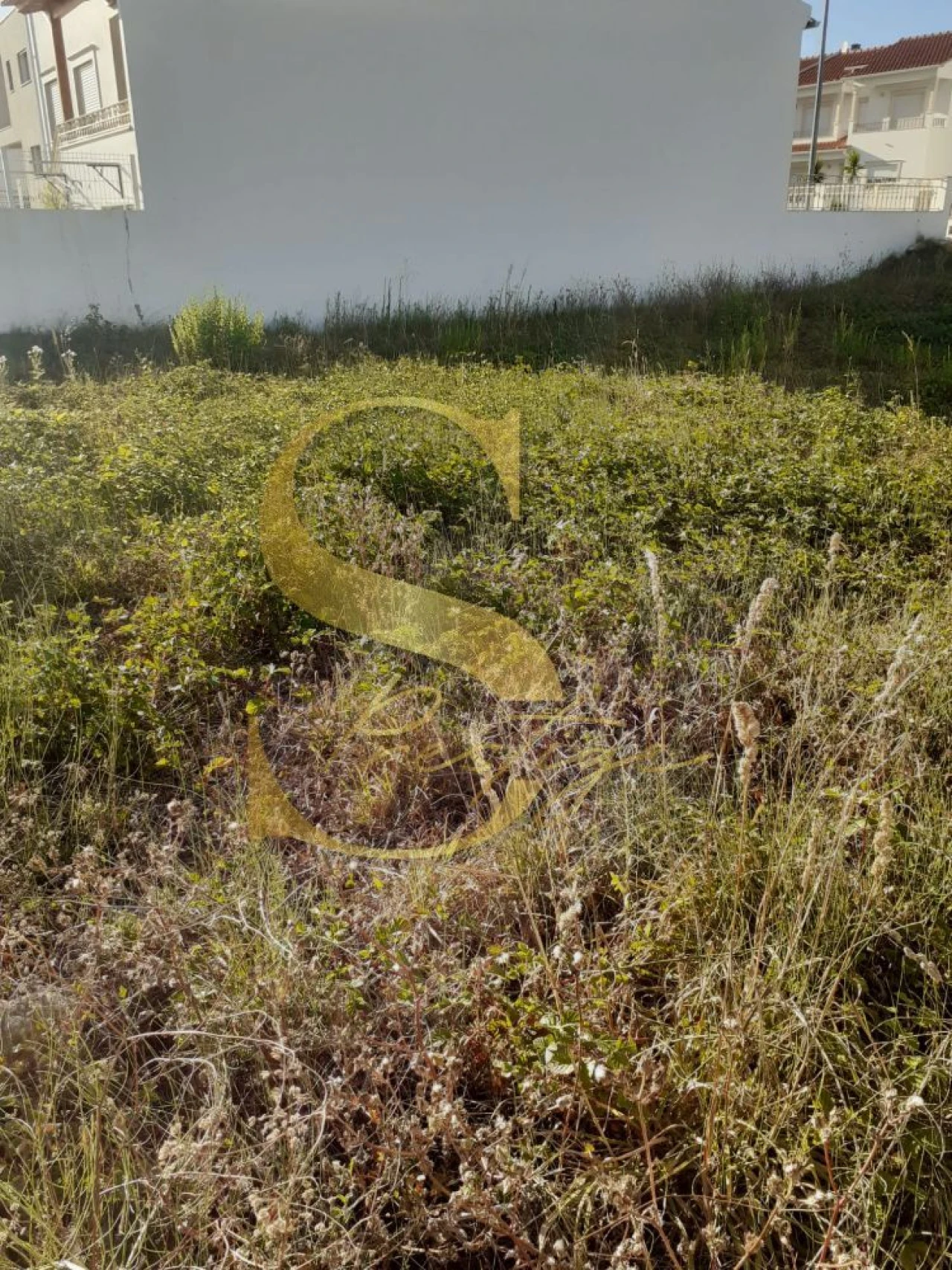 Terreno para Venda em Golpilheira Foto 8