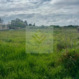 Terreno para Venda em Esmoriz